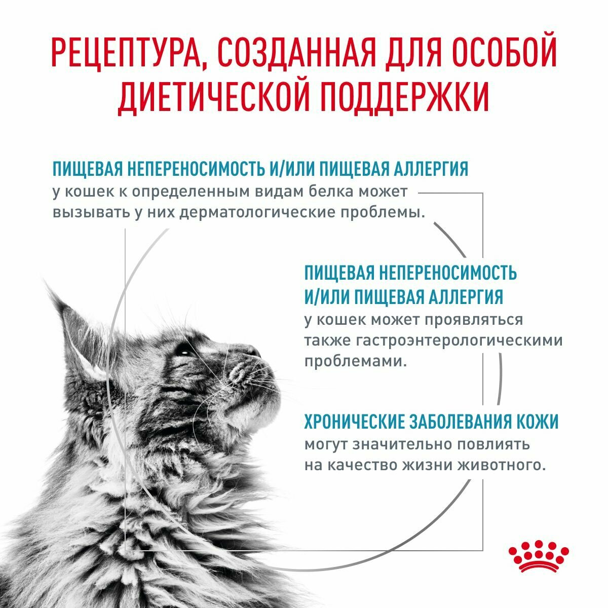 Сухой корм для кошек Royal Canin Hypoallergenic диетический, при пищевой аллергии, 2 кг — фото 1