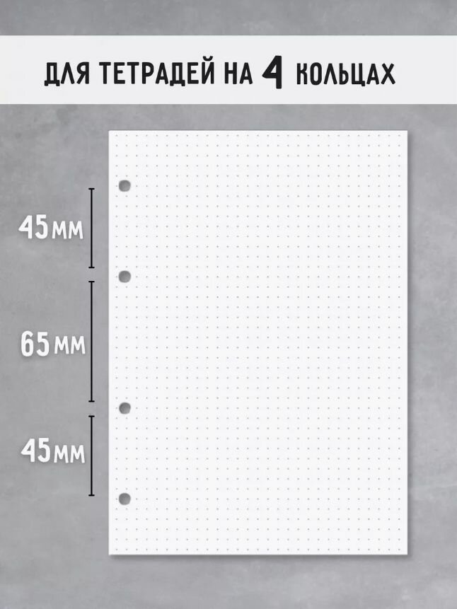 Cменный блок для тетради на кольцах А5 120 листов, в точку для школы и университета — фото 1