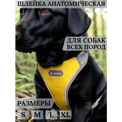 Анатомическая шлейка для собак Mirestra прогулочная светоотражающая