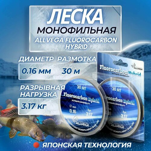 Флюорокарбоновая леска ALLVEGA Fluorocarbon Hybrid, 30 м, 3.2 кг, прозрачный, 1 шт.