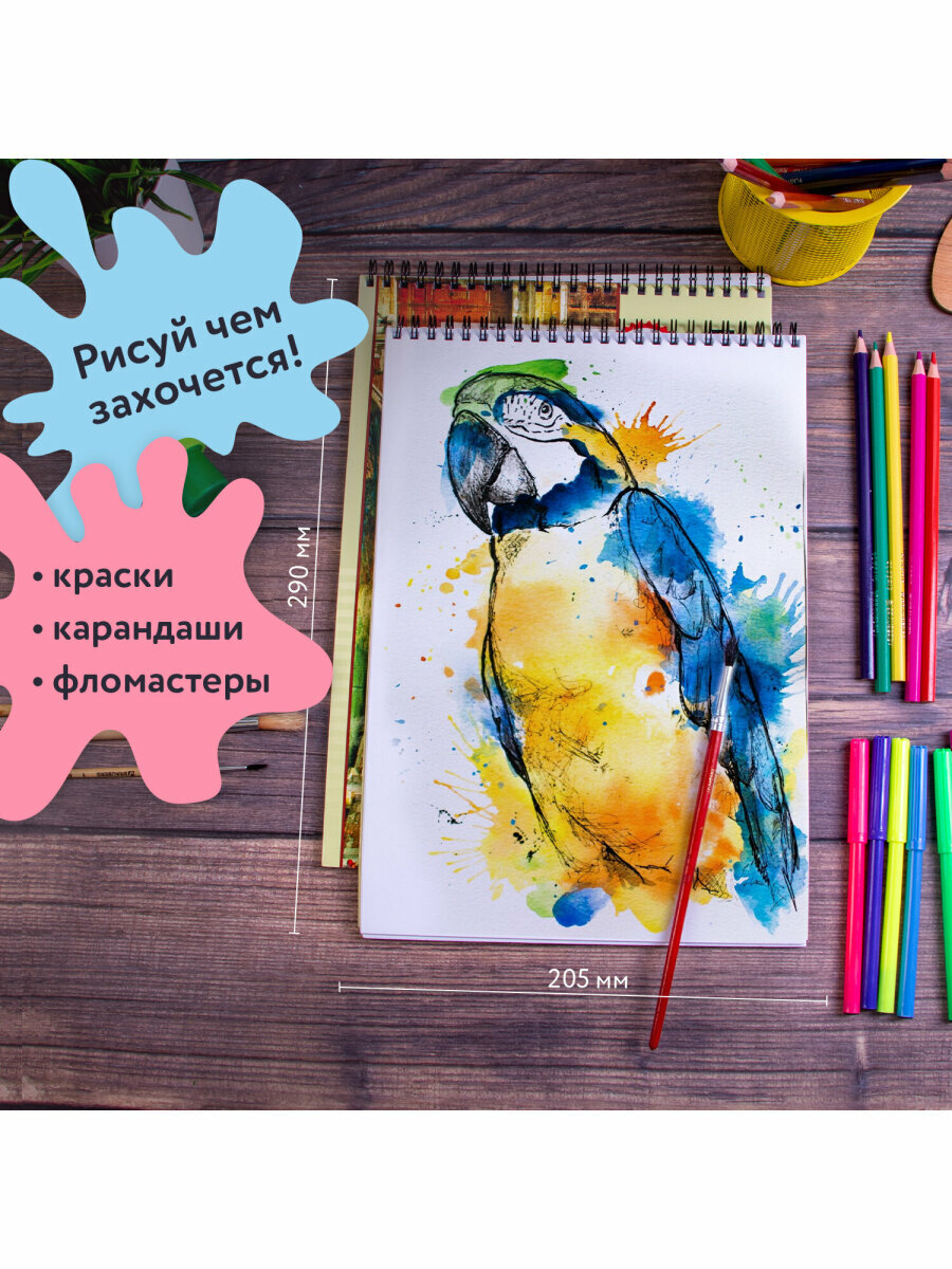 Альбом д/рис. А4 40 л, комплект 2 шт, гребень, обл. картон, BRAUBERG, 205х290 мм, Город, 880029 — фото 1