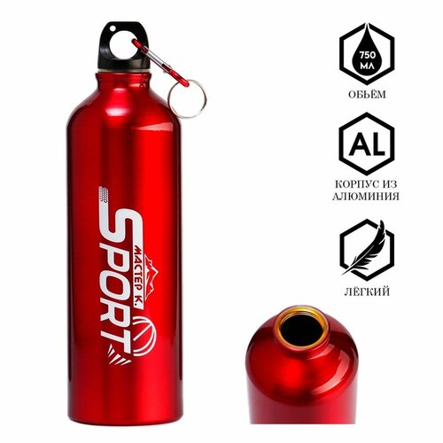 Бутылка для воды 750 мл Мастер К 245 х 7 см корпус из алюминия 1401841 477₽