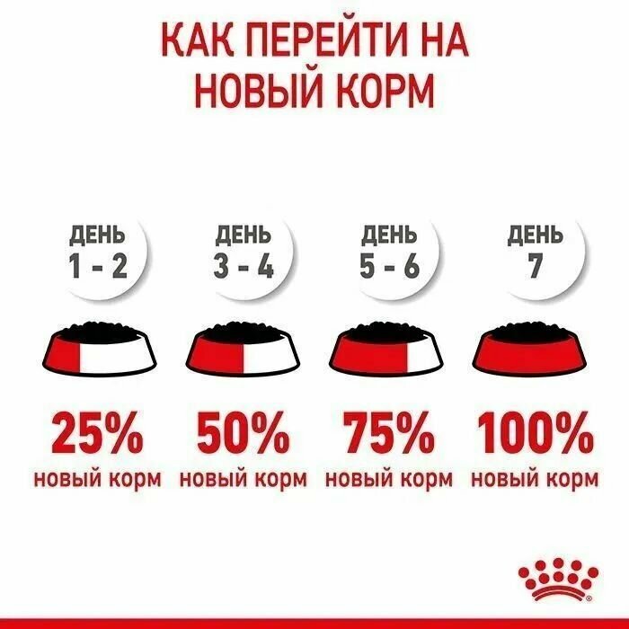 Корм влажный (паучи) Royal Canin Kitten Instinctive для котят 4-12 месяцев, кусочки в соусе, 85 г х 24 шт - фотография № 10