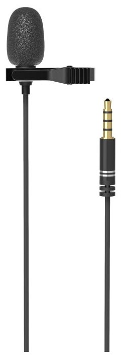Микрофон RITMIX RCM-110 Black, петличный, всенапр, кабель 2м, Jack 3.5, 1 шт.