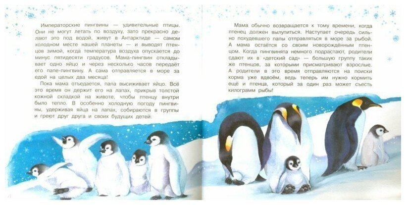 У кого какие детки (Смирнова Ю.А.) - фото №3