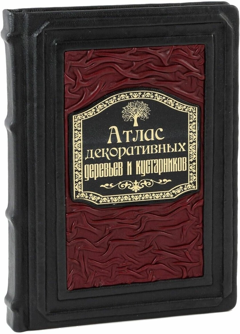 Атлас декоративных деревьев и кустарников - фото №1