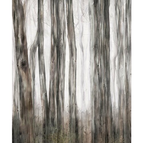Моющиеся виниловые фотообои GrandPiK Фон. Старые доски и стволы деревьев, 200х240 см