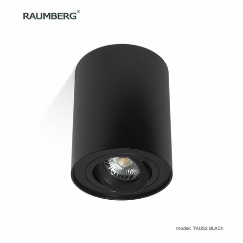 Накладной поворотный потолочный светильник RAUMBERG TAUSS bk