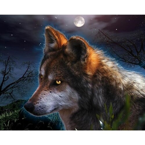 фото Картина по номерам "ночной волк" 40х50 на подрамнике kolibriki