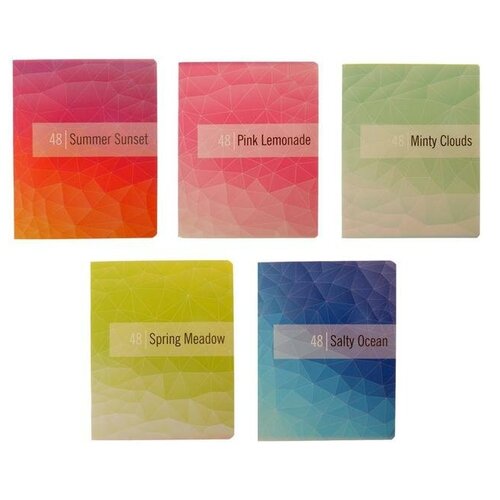 Тетрадь Призма А5 48 листов клетка 282₽