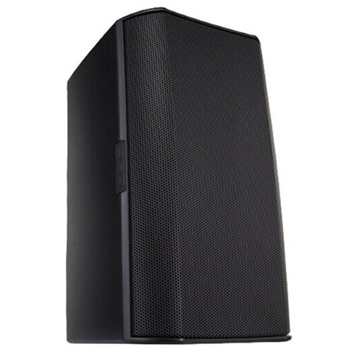 2-полосная всепогодная АС Qsc AD-S5T-BK 2741800₽