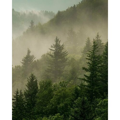 Моющиеся виниловые фотообои Туман над горами, 200х250 см