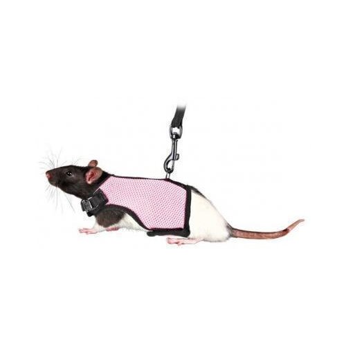 фото Шлейка-жилетка с поводком д/крысы, 12-18 см + 1,2 м, нейлон, цвет в ассорт., ф-61511 no