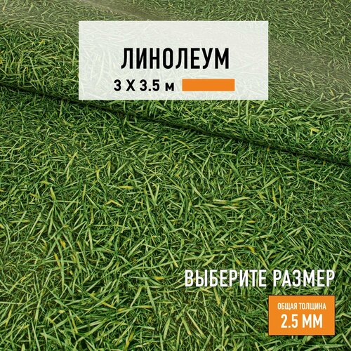 Линолеум для пола на отрез 3х3,5 м IVC Neo Grass 025, бытовой, 22 класс, 4820625-3х3,5