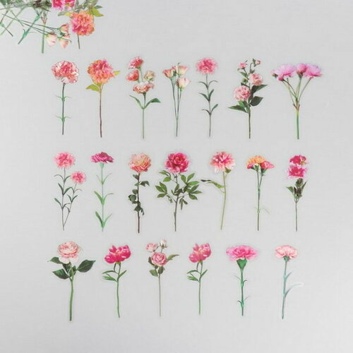 Наклейки для творчества пластик PVC Розовые мечты набор 40 шт 9х10.5 см