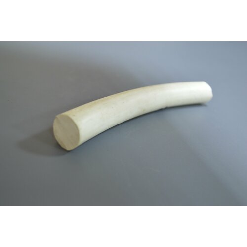 Шнур уплотнительный из вакуумной резины диаметр 25 мм, длина 6 метров