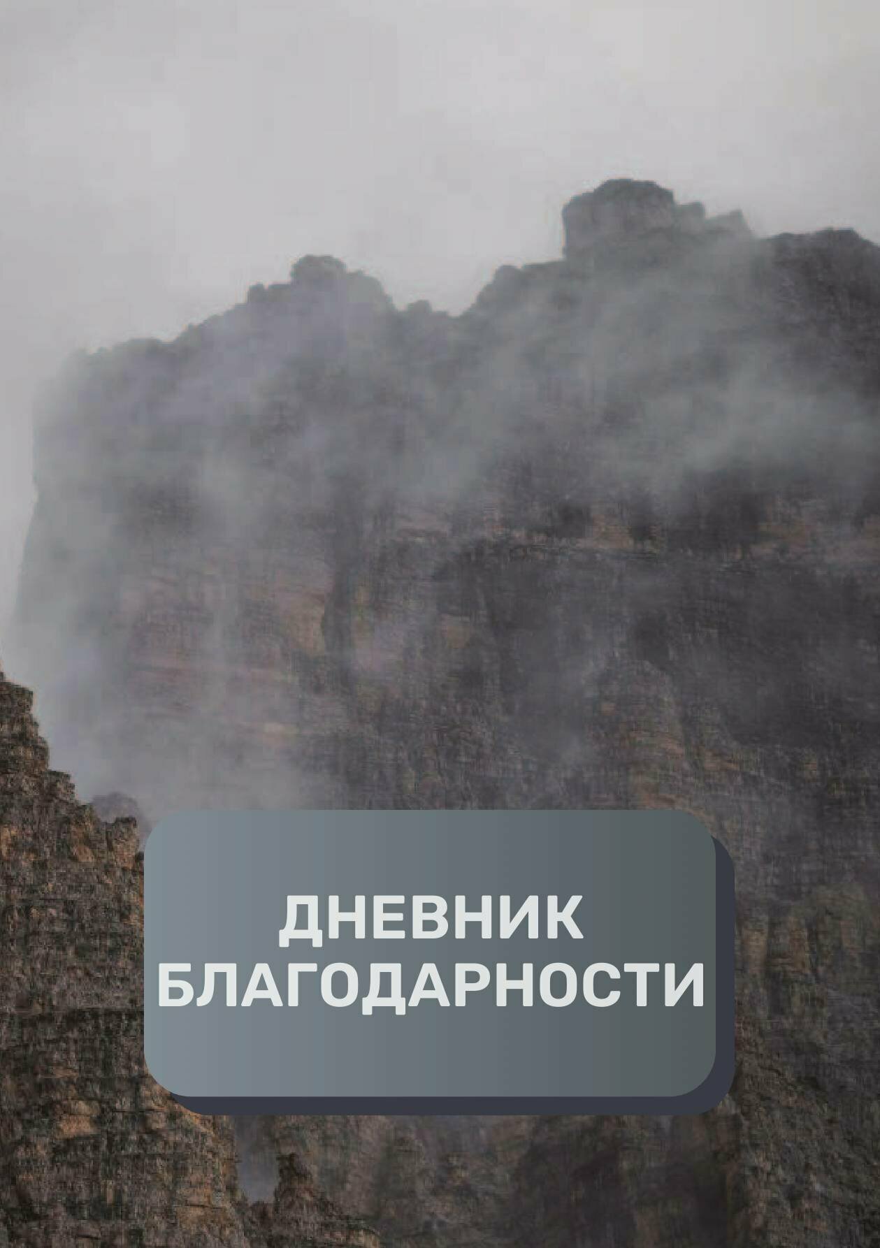 Дневник благодарности, премиум (подарочное) издание, 200 страниц