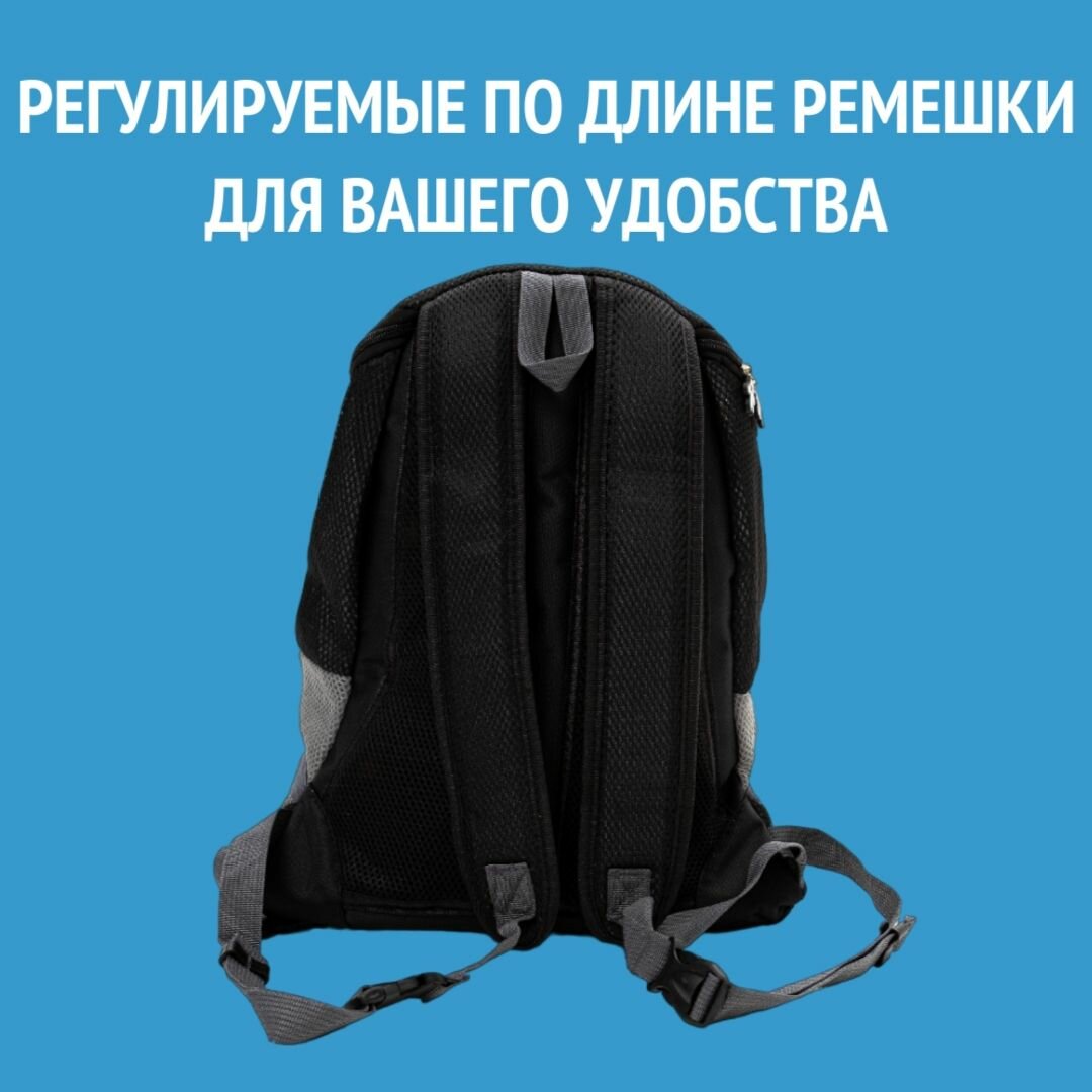 Картинки Рюкзак переноска для собак и кошек