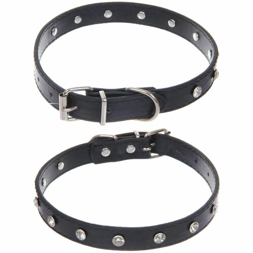 Ошейник для собак и кошек со стразами «На стиле», цвет черный, 2см, размер L, 39*44см (лейбл)