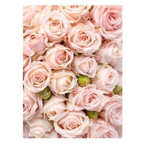 Фотообои Нежные розы 200х270 см ШхВ 3996₽