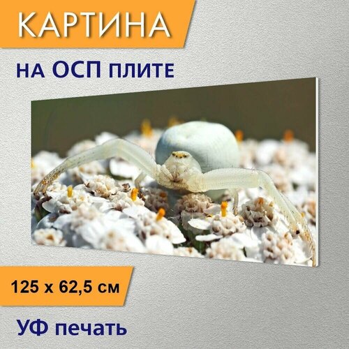 Горизонтальная картина 