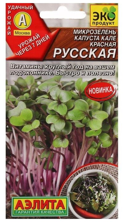Семена Микрозелень Капуста кале "Красная русская", ц/п, 3 г