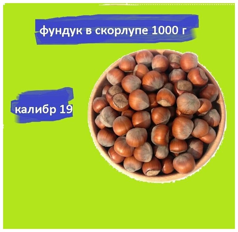 Фундук в скорлупе 1000 гр. NUTS-OPT - фотография № 1