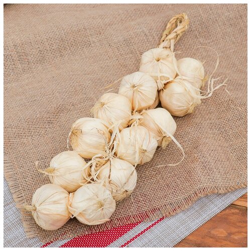Муляж Связка чеснока 40 см 12 головок 685₽