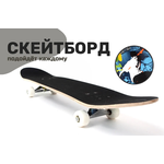 Скейтборд 31x8 - изображение