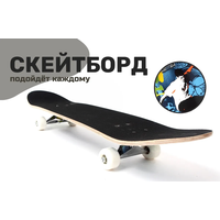 Скейтборд PRO RIDER 31x8 (райдер)