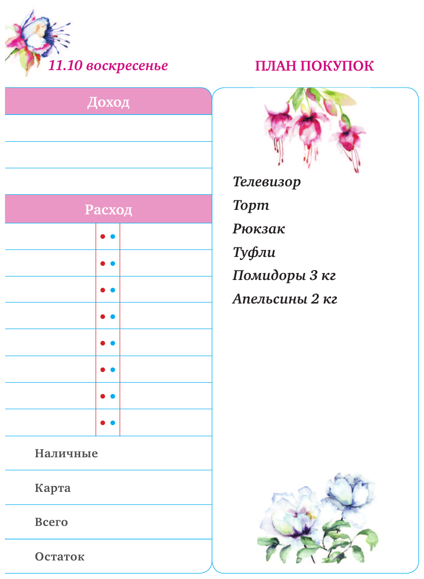 Мои доходы и расходы. Умный блокнот. Большой CashBook (Dream) - фото №13