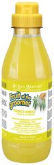 Шампунь для животных Iv San Bernard ISB Fruit of the Grommer Ginger&Elderbery, против раздражений и перхоти, для любого типа шерсти, 500 мл, NSHAZE500 Iv San Bernard 8022767041562