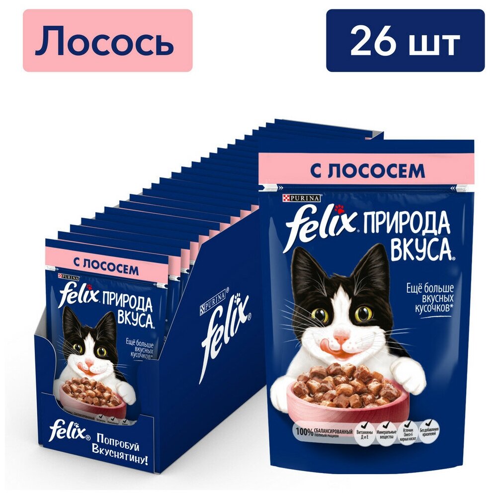 Felix Природа Вкуса влажный корм для взрослых кошек, с лососем в соусе (26шт в уп) 75 гр - фотография № 1