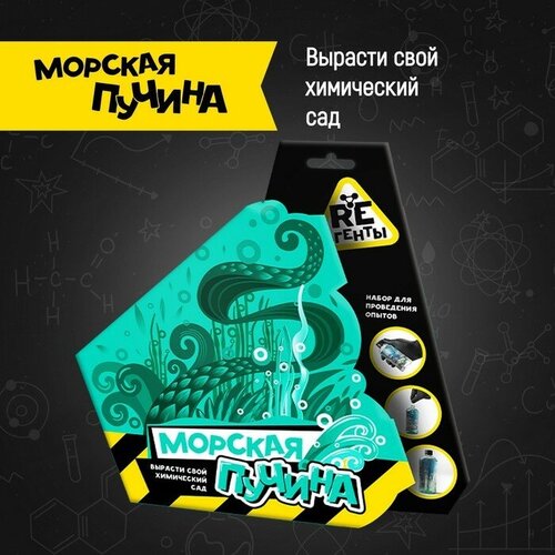 Научно-познавательный набор «Морская пучина», модели «Re-Агенты»