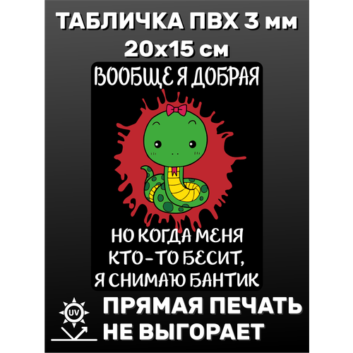 Табличка информационная "Бантик" 20х15 см