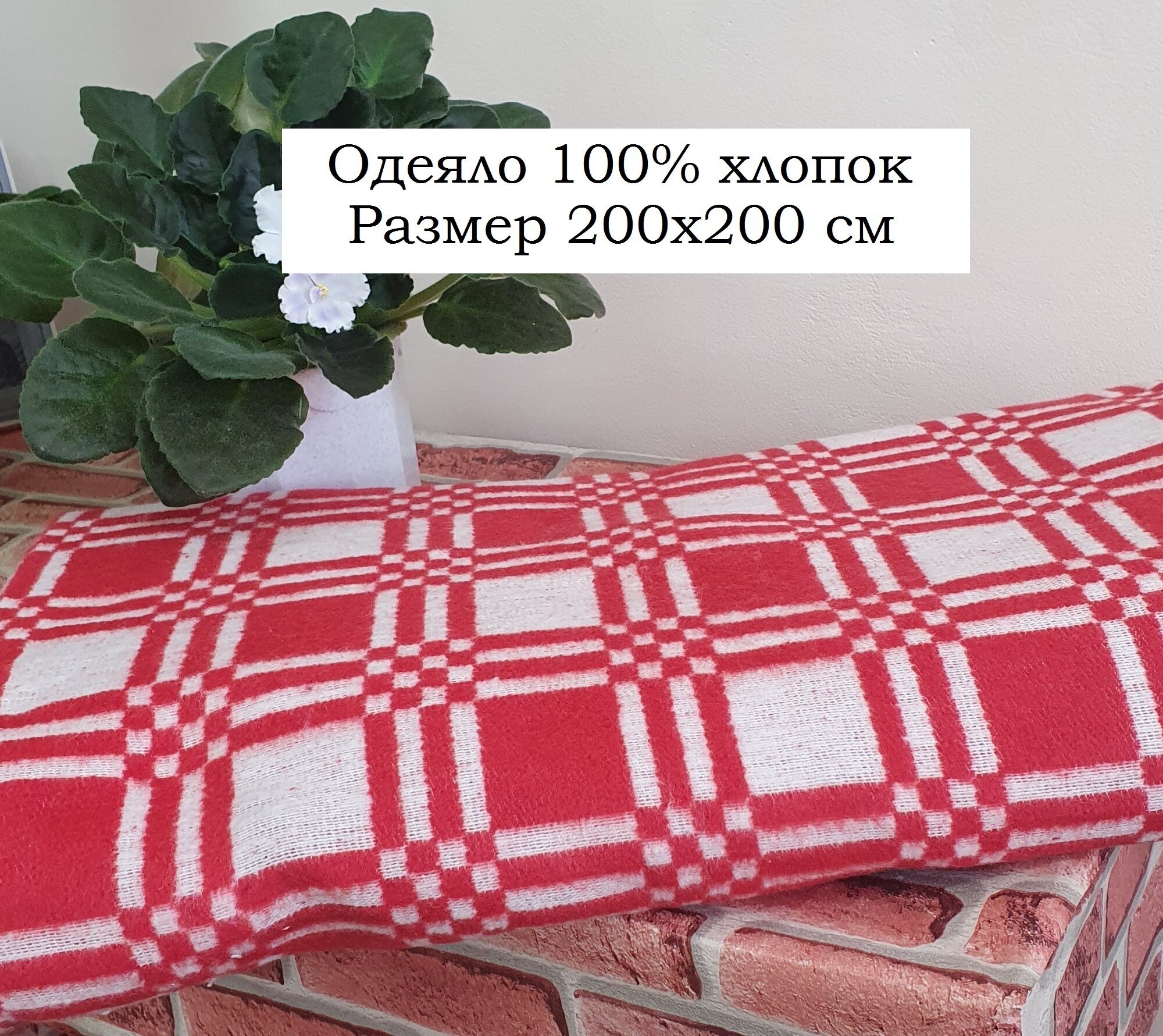 Одеяло байковое хлопковое евро 200х200 - фотография № 1