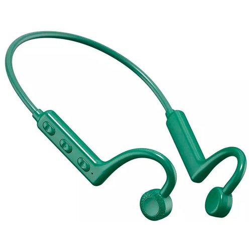 BandRate Smart BRSTWSKS19GNGN 135000₽