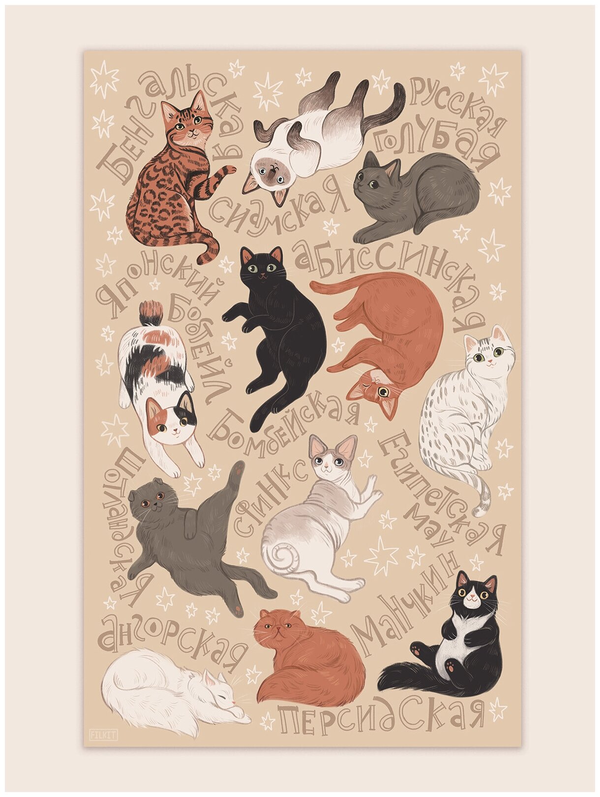 Постер / Плакат / Картина Виды и породы кошек 40х50 см в раме