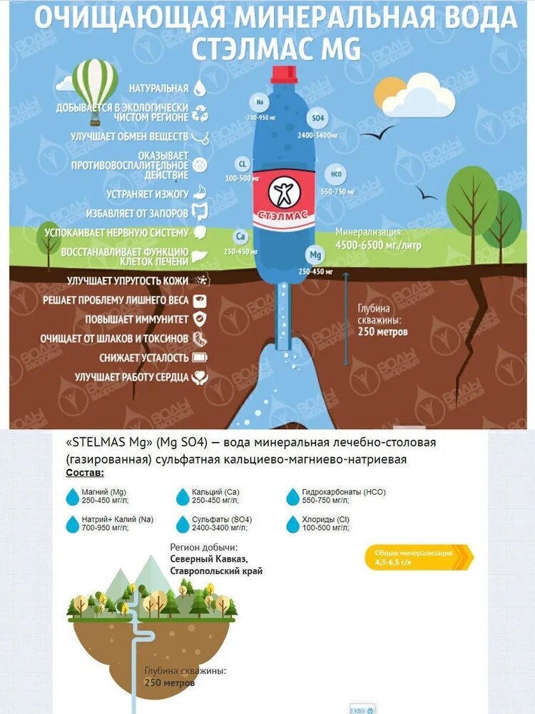 STELMAS Mg минеральная лечебно-столовая вода, газированная/Стэлмас магний/Россия/1 л х 6 шт - фотография № 4