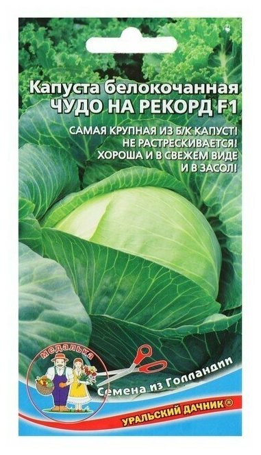 Семена Капуста "Чудо на рекорд" F1 позднеспелый крупнокочанный для квашения 03 г