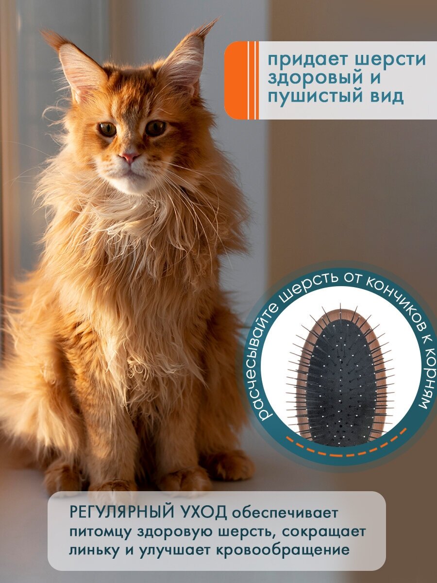 Pet Line Щетка DeLIGHT овальная односторонняя профессиональная на деревянном основании, жёсткий корд зуб 2,2см - фотография № 7