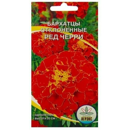 Семена Цветов Бархатцы Ред Черри, 0,2 г 7 упаковок