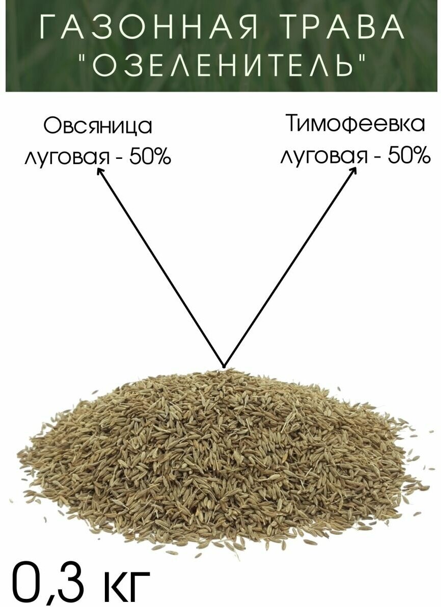 Газонная Трава "Озеленитель" 300 гр.