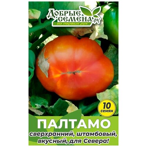Семена томата Палтамо - 10 шт - Добрые Семена. ру малина штамбовая таруса
