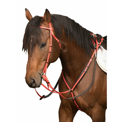 Sweet horse/Сет - оголовье + повод + мартингал для лошадей FULL