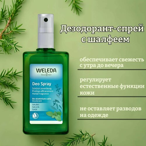 Дезодорант-спрей с шалфеем weleda salvia deodorant дезодорант спрей с шалфеем weleda salvia deodorant 100 мл