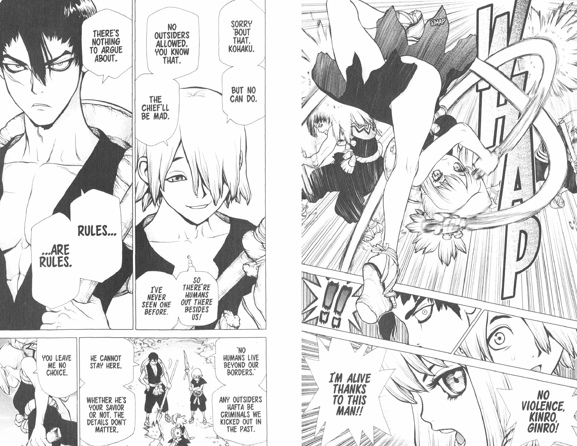 Dr. Stone. Volume 3 (Inagaki Riichiro) - фото №2