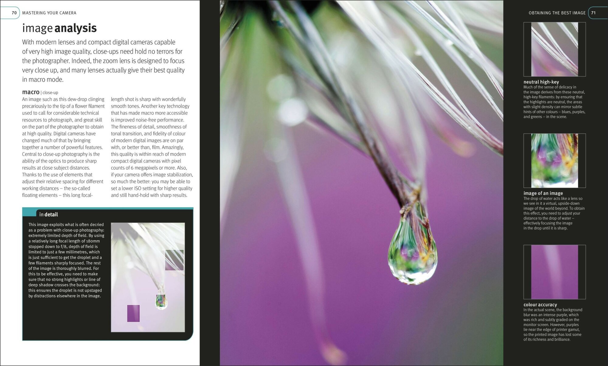 Digital Photography Masterclass - фото №7