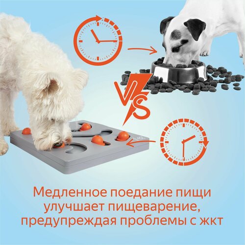 Интерактивная развивающая игрушка для собак для медленного кормления, головоломка, кормушка / FOFOS