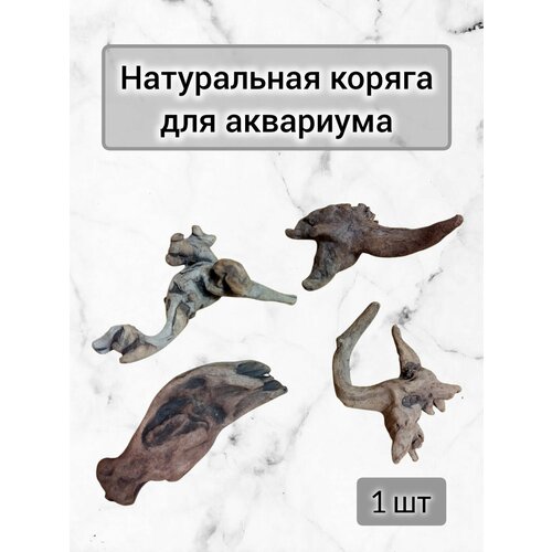 Натуральная коряга для аквариума 13-15 см 1 шт 611₽
